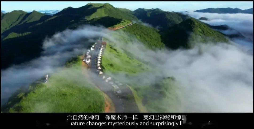 小猫钓鱼游戏龙王版有船